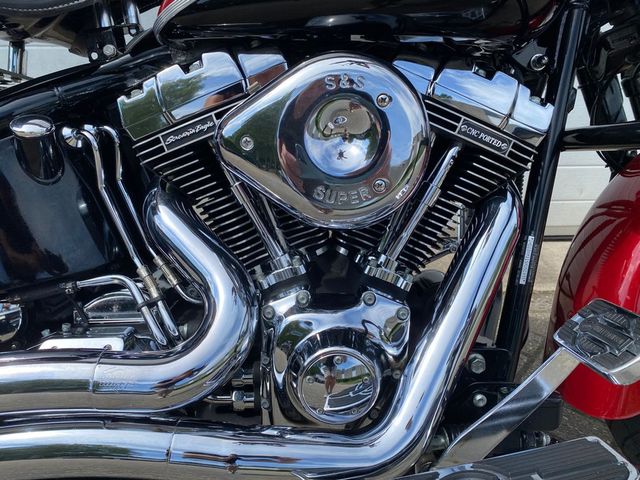 harley-davidson - springer-flsts-softail