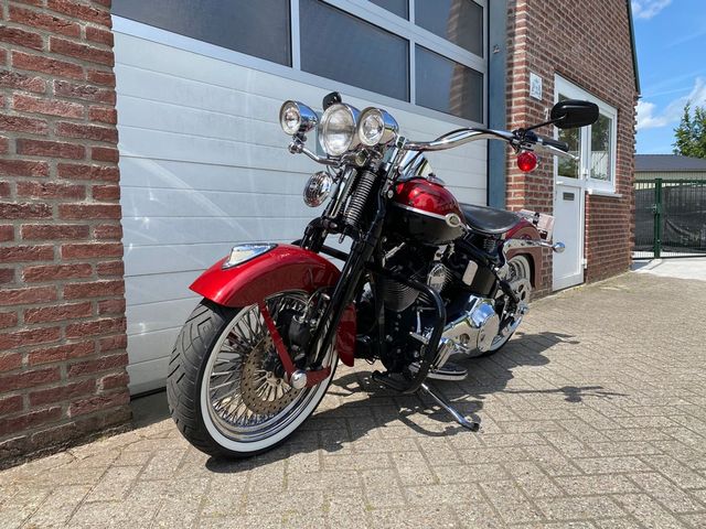 harley-davidson - springer-flsts-softail
