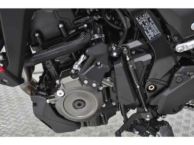 suzuki - v-strom-800