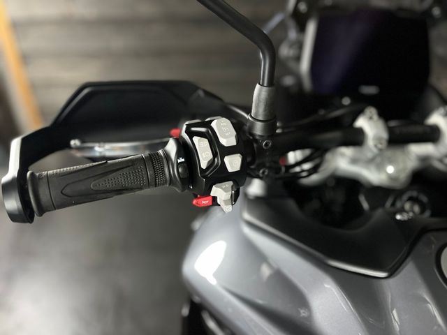 triumph - tiger-900-gt-pro