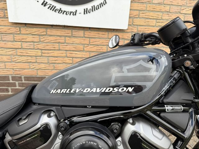 harley-davidson - nightster-rh-975