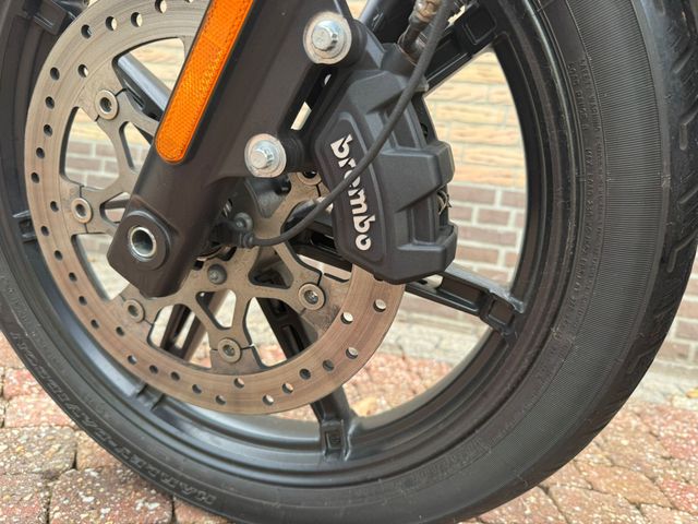 harley-davidson - nightster-rh-975