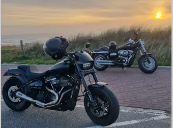 Harley-Davidson FAT BOB 114 Fxfbs 2019 occasion