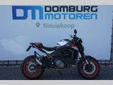 DUCATI MONSTER 797 +