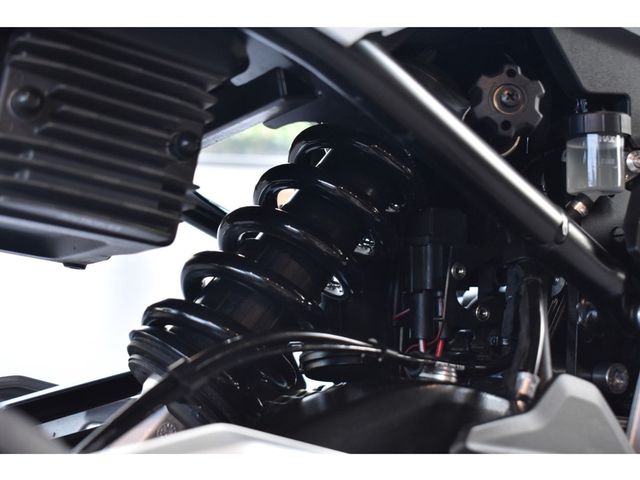 bmw - f-900-r