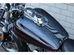 Harley-Davidson FXD Dyna Super Glide EVO Custom, Uniek!! 1995 occasion – foto 4 van 20