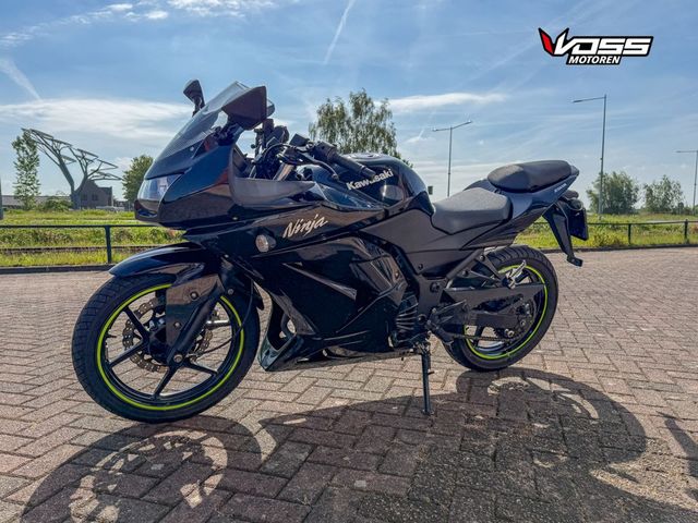 kawasaki - ninja-250-r