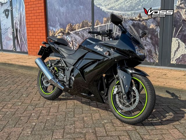 kawasaki - ninja-250-r