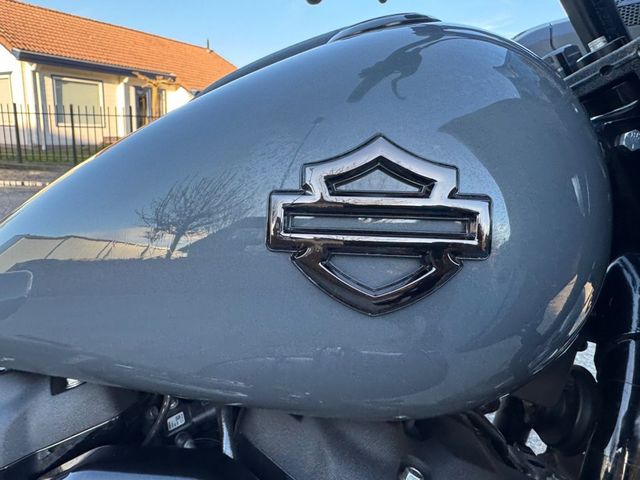 harley-davidson - low-rider-st-fxlrst