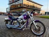 HARLEY-DAVIDSON SOFTAIL CUSTOM FXST