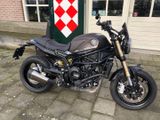 BENELLI LEONCINO 800