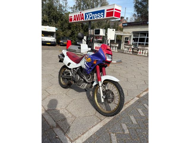 honda - nx-650--dominator