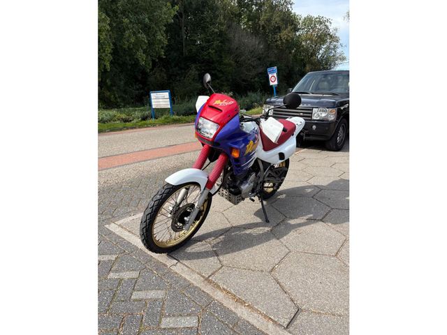 honda - nx-650--dominator