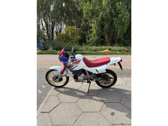 honda - nx-650--dominator