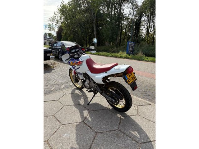 honda - nx-650--dominator