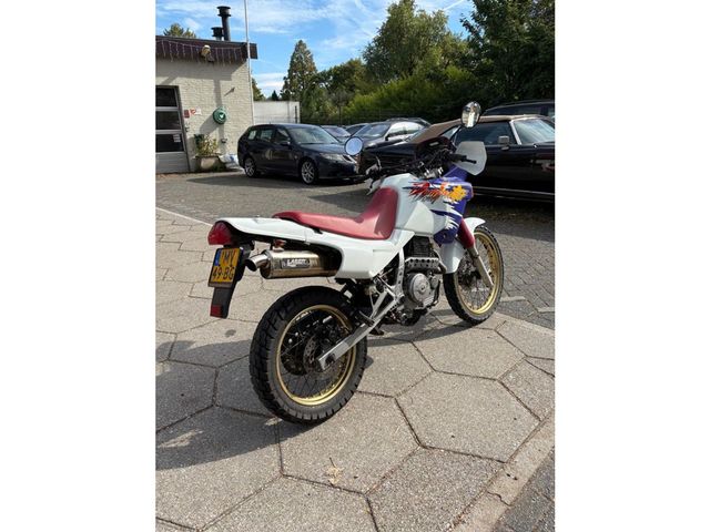 honda - nx-650--dominator