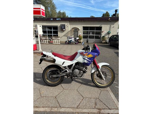 honda - nx-650--dominator