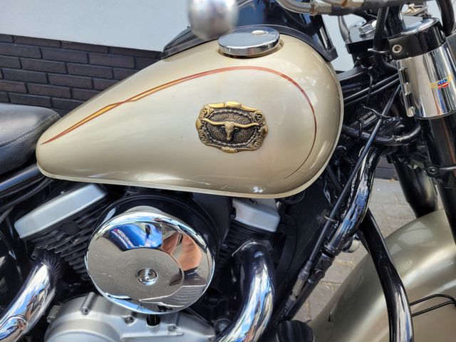 kawasaki - vn-800-classic