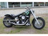 HARLEY-DAVIDSON SPRINGER SOFTAIL FXSTS