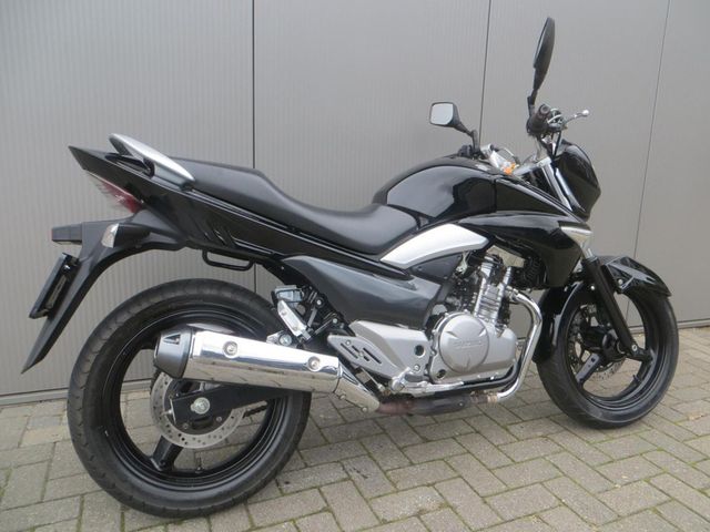 suzuki - inazuma-250