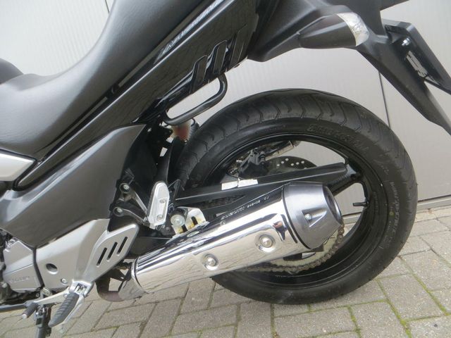 suzuki - inazuma-250