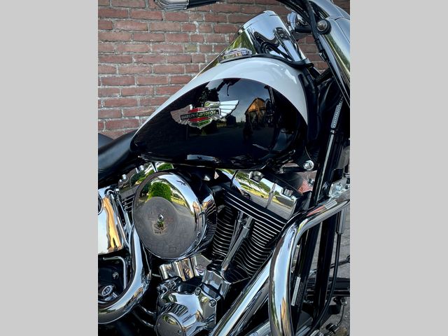 harley-davidson - softail-deluxe-flstni