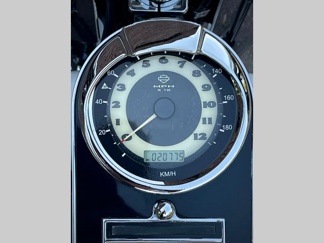 harley-davidson - softail-deluxe-flstni