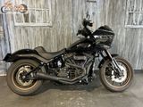 HARLEY-DAVIDSON LOW RIDER S FXDLS