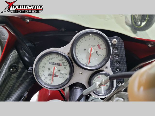 triumph - daytona-t--595