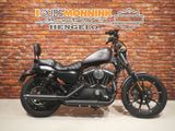 HARLEY-DAVIDSON SPORTSTER IRON XL 883 N