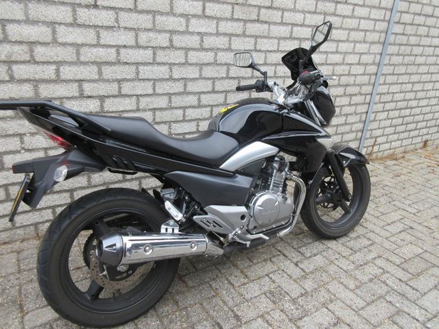 suzuki - inazuma-250