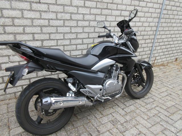 suzuki - inazuma-250