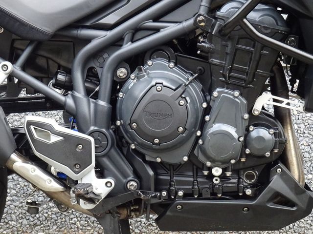 triumph - tiger-explorer