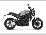 BENELLI LEONCINO 800