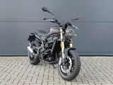 Benelli Leoncino 800 2026