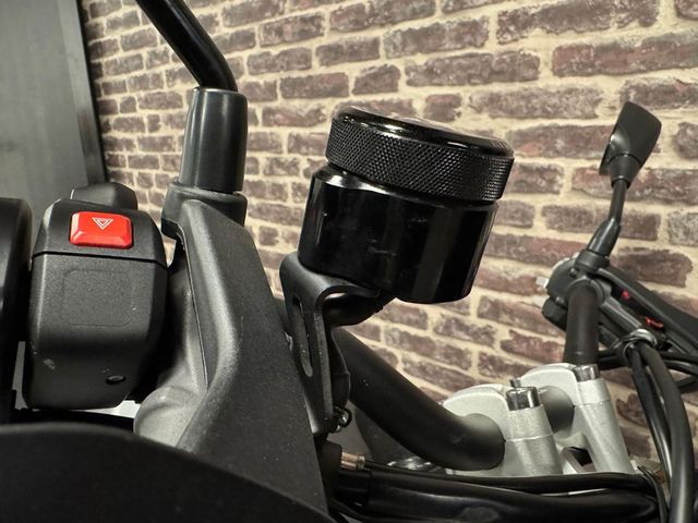 triumph - tiger-900-rally-pro