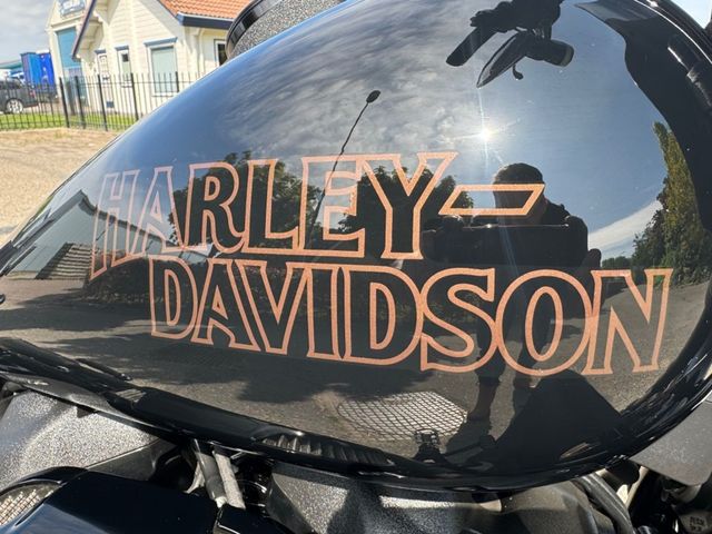 harley-davidson - softail-low-rider