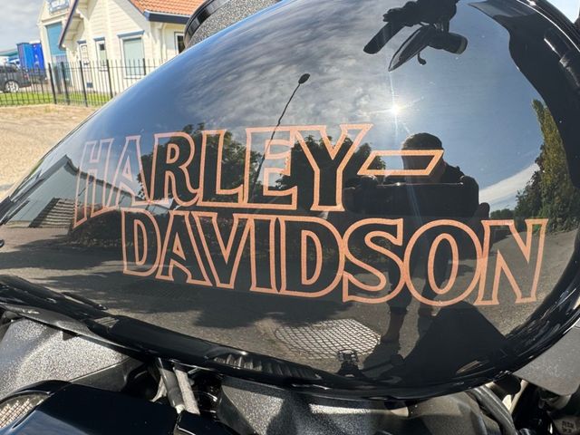 harley-davidson - softail-low-rider