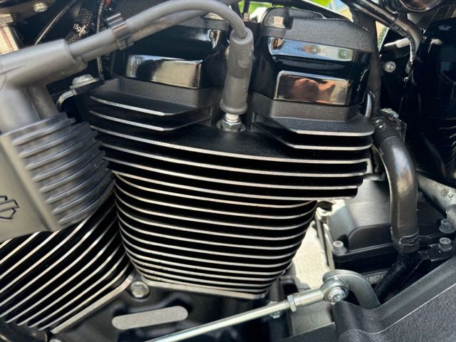harley-davidson - softail-low-rider