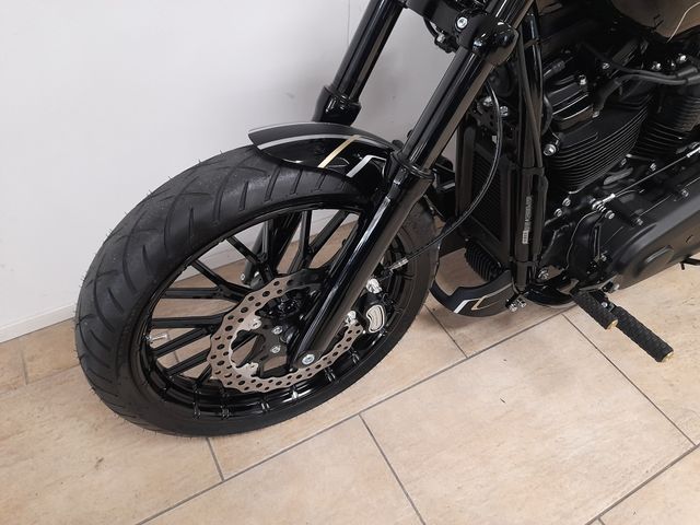 harley-davidson - softail-custom-fxst