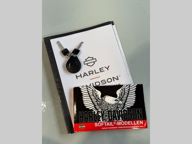 harley-davidson - low-rider-st-fxlrst