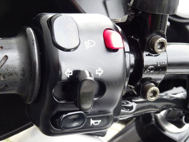 triumph - 955-i-tiger