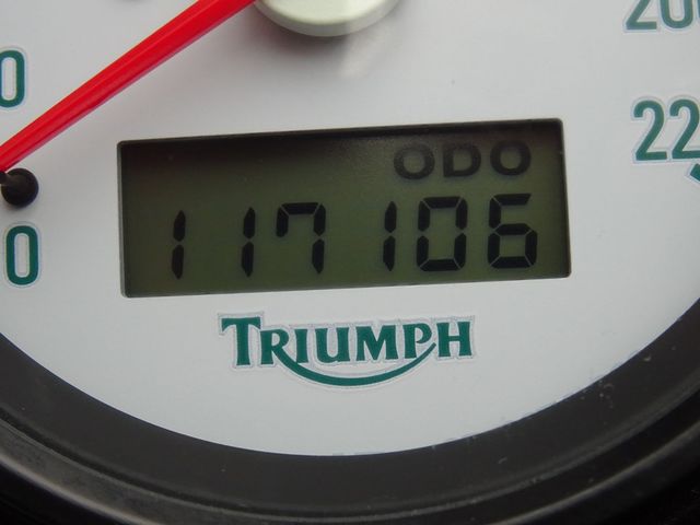 triumph - 955-i-tiger