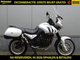 TRIUMPH 955 I TIGER