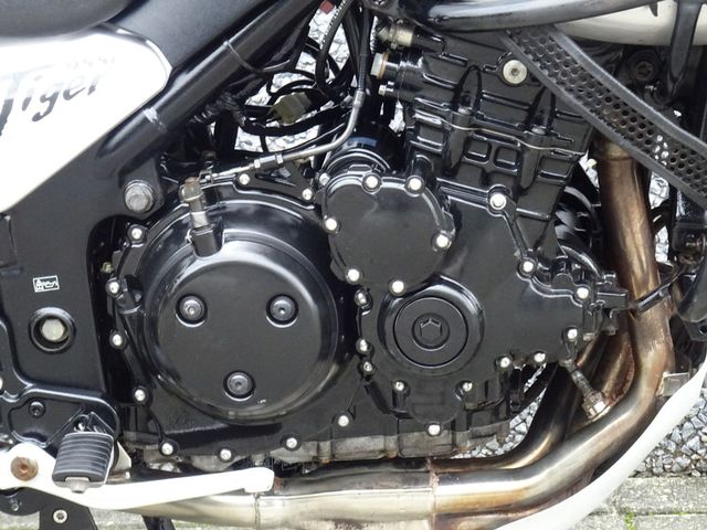 triumph - 955-i-tiger