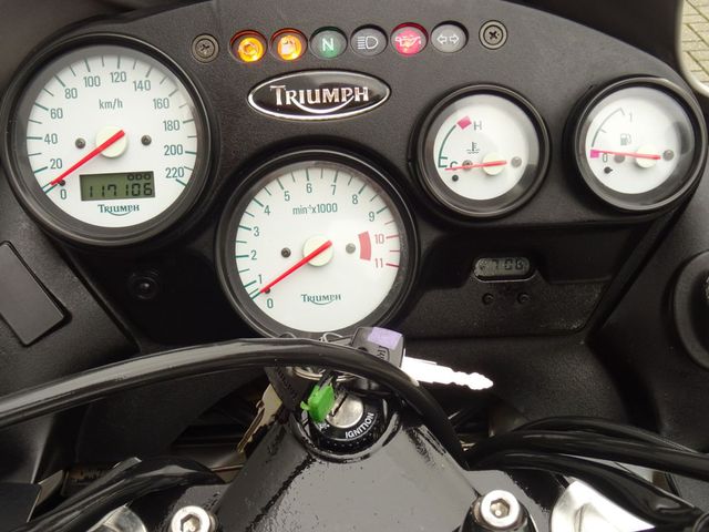 triumph - 955-i-tiger