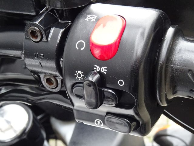 triumph - 955-i-tiger