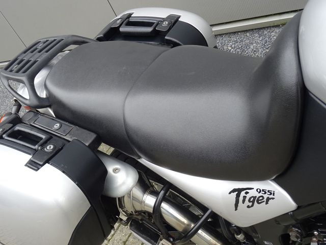 triumph - 955-i-tiger