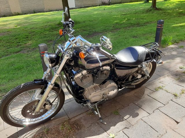 harley-davidson - sportster-custom-xl-883-c