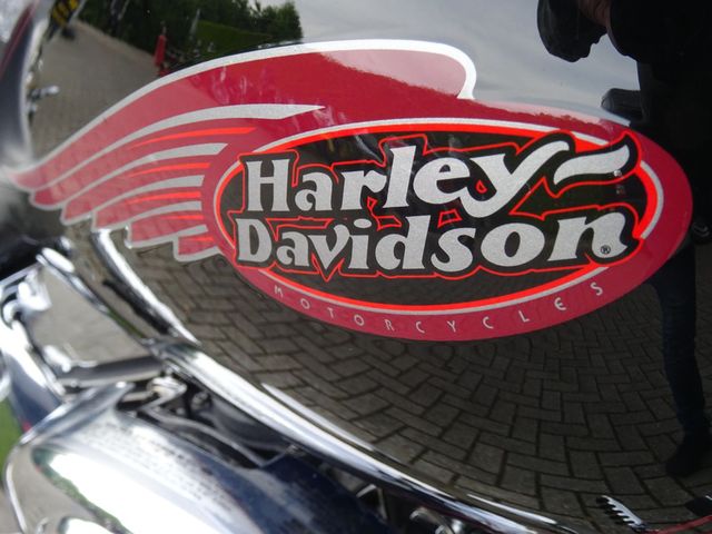 harley-davidson - springer-flsts-softail